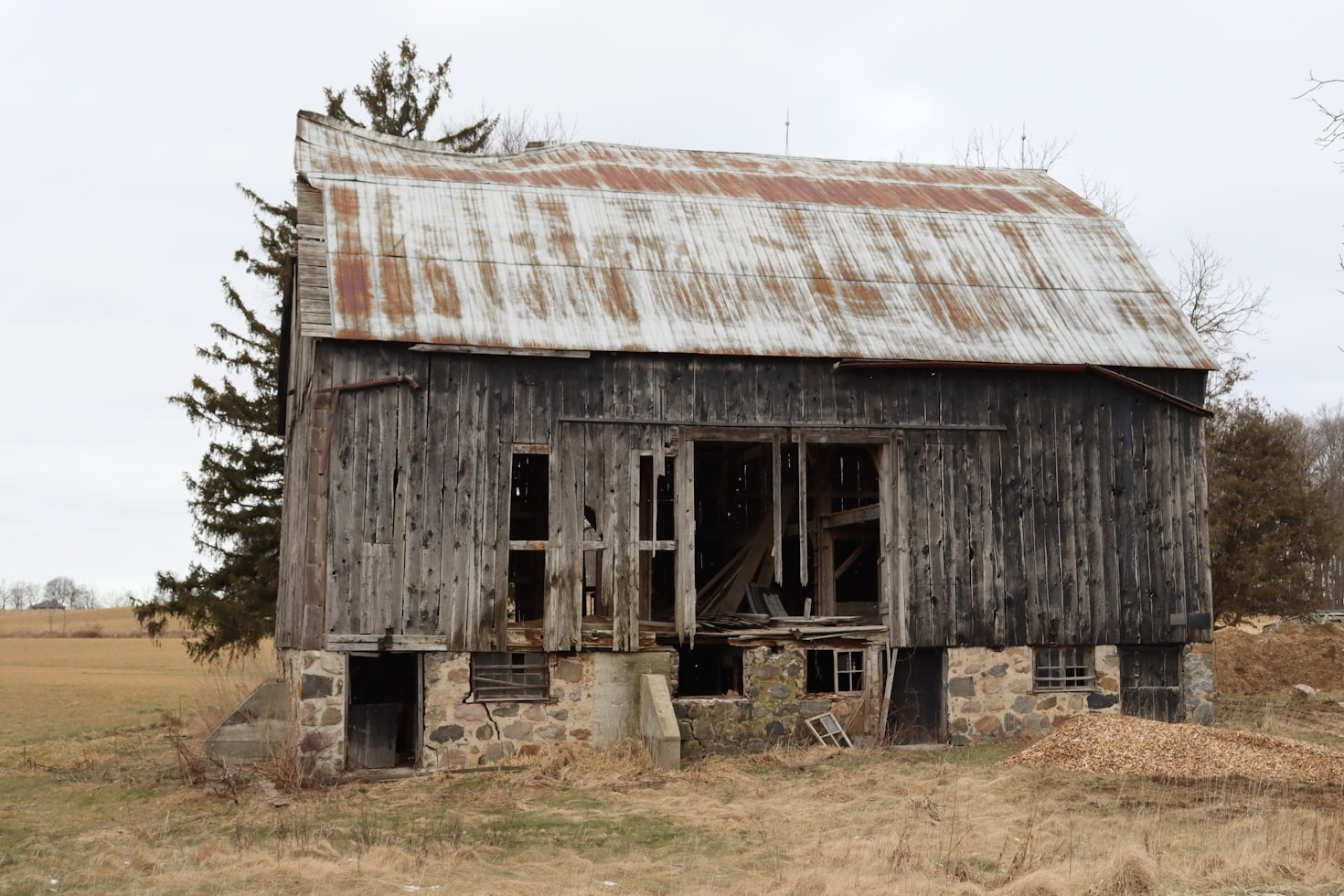 Clearing The Overgrowth Of The Past
