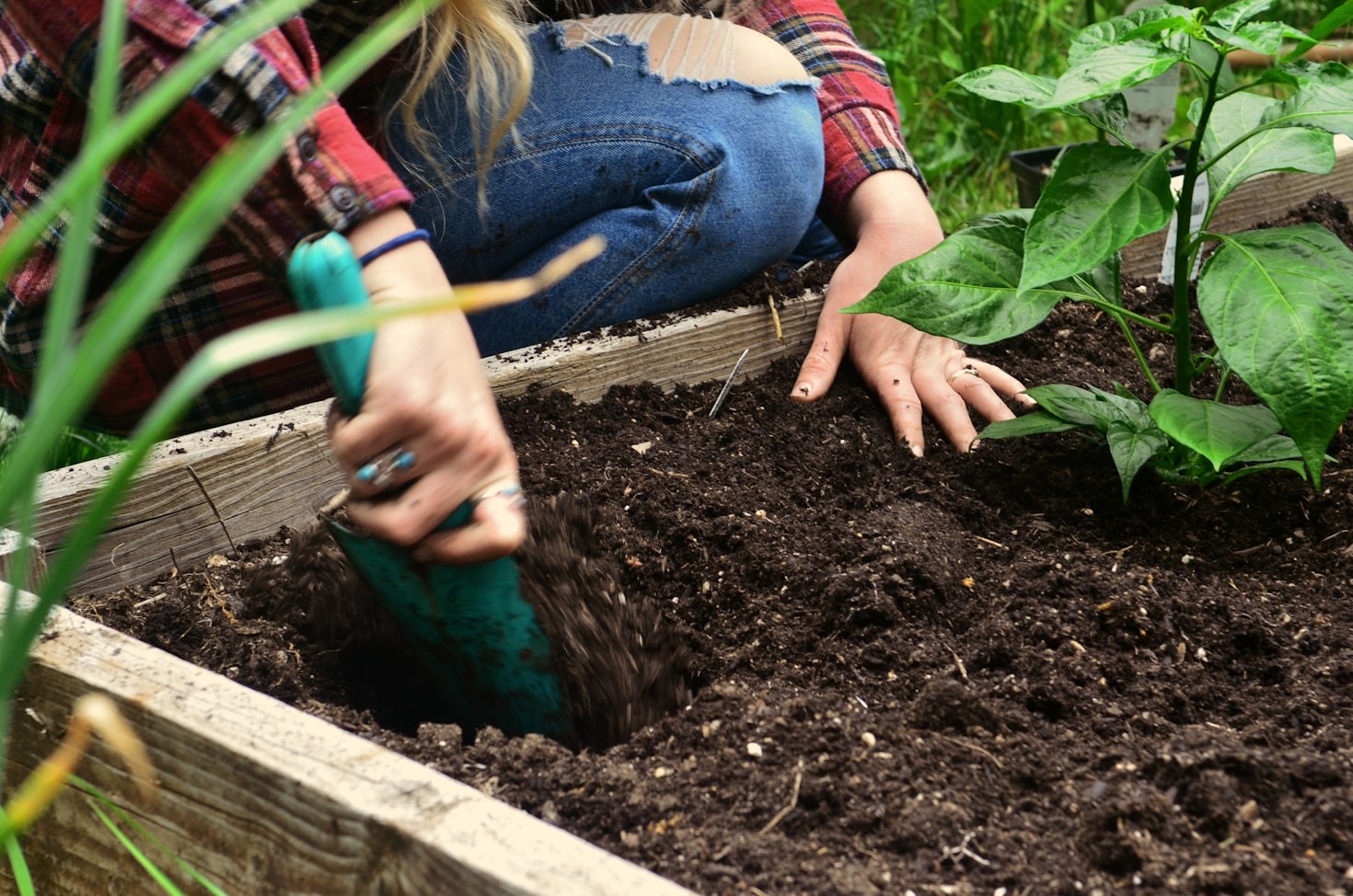 The First Steps Toward A Sustainable Future
